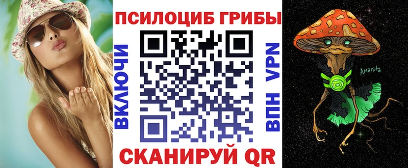 что такое   Северобайкальск  Псилоцибиновые грибы Psilocybe 